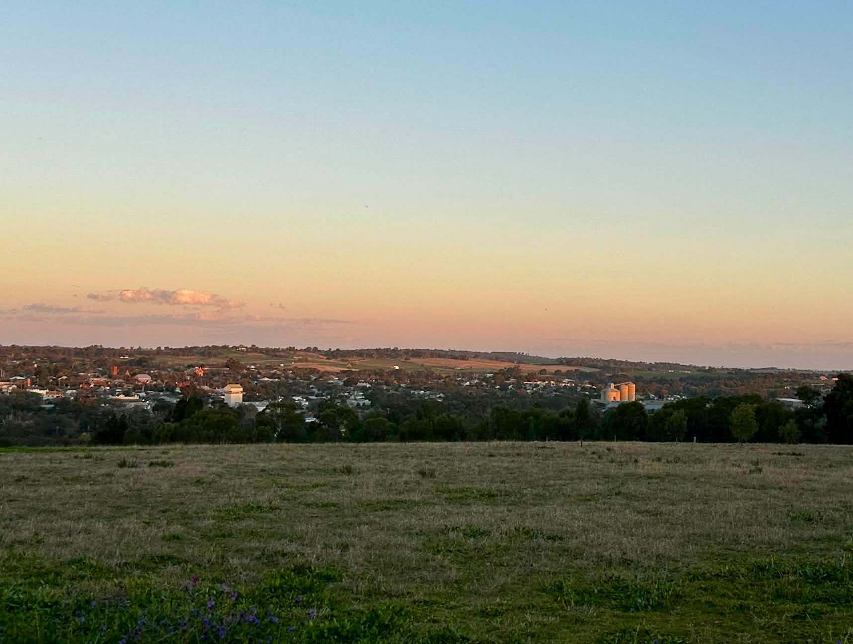 Lot 1243 Newton Street, Grenfell For Sale by Farmbuy.com - image 10