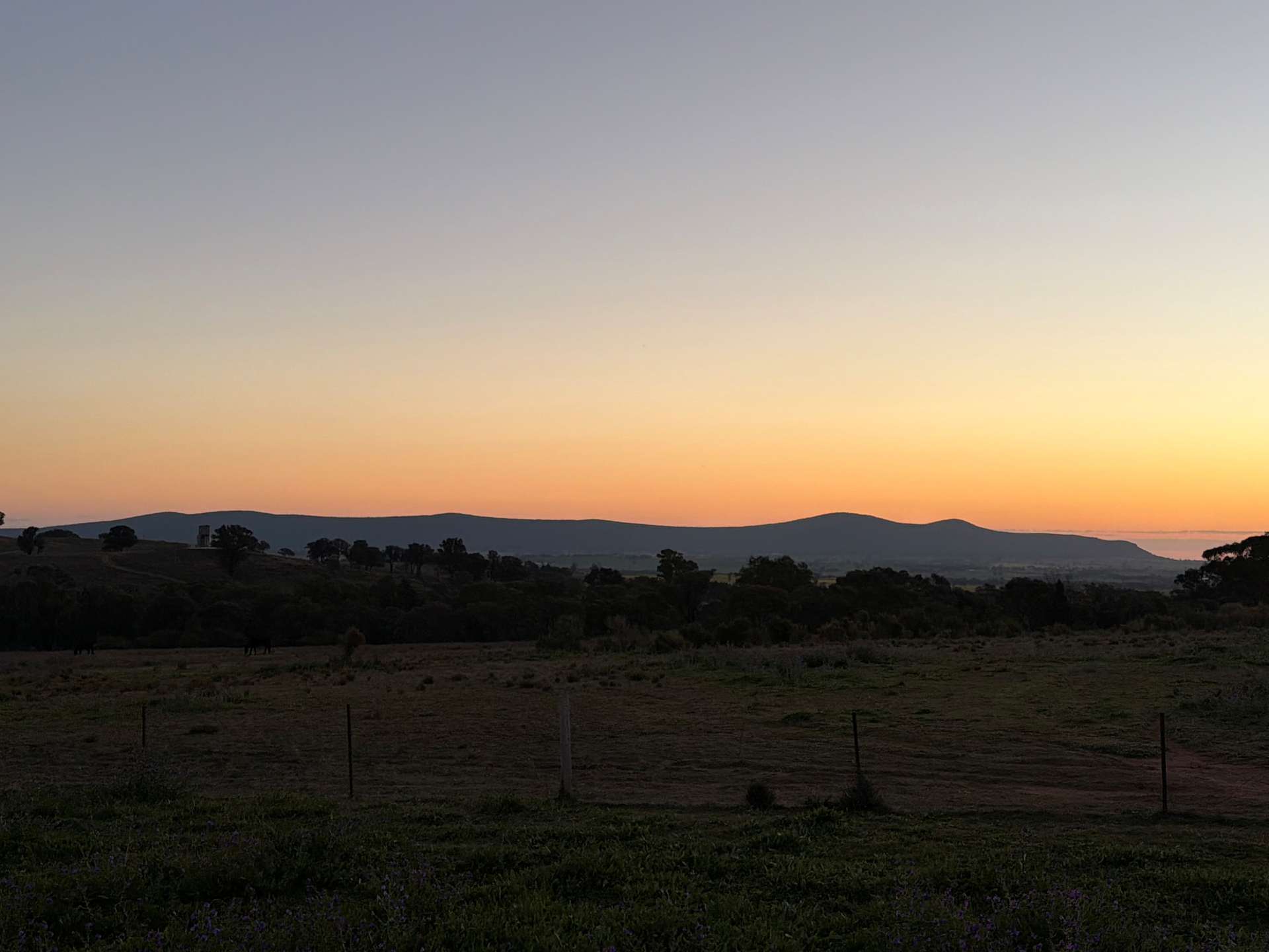 Lot 1243 Newton Street, Grenfell For Sale by Farmbuy.com - image 11