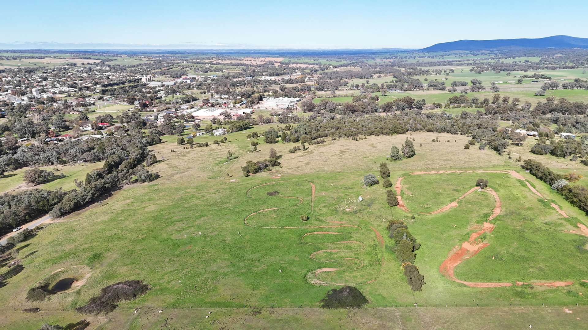 Lot 1243 Newton Street, Grenfell For Sale by Farmbuy.com - image 5
