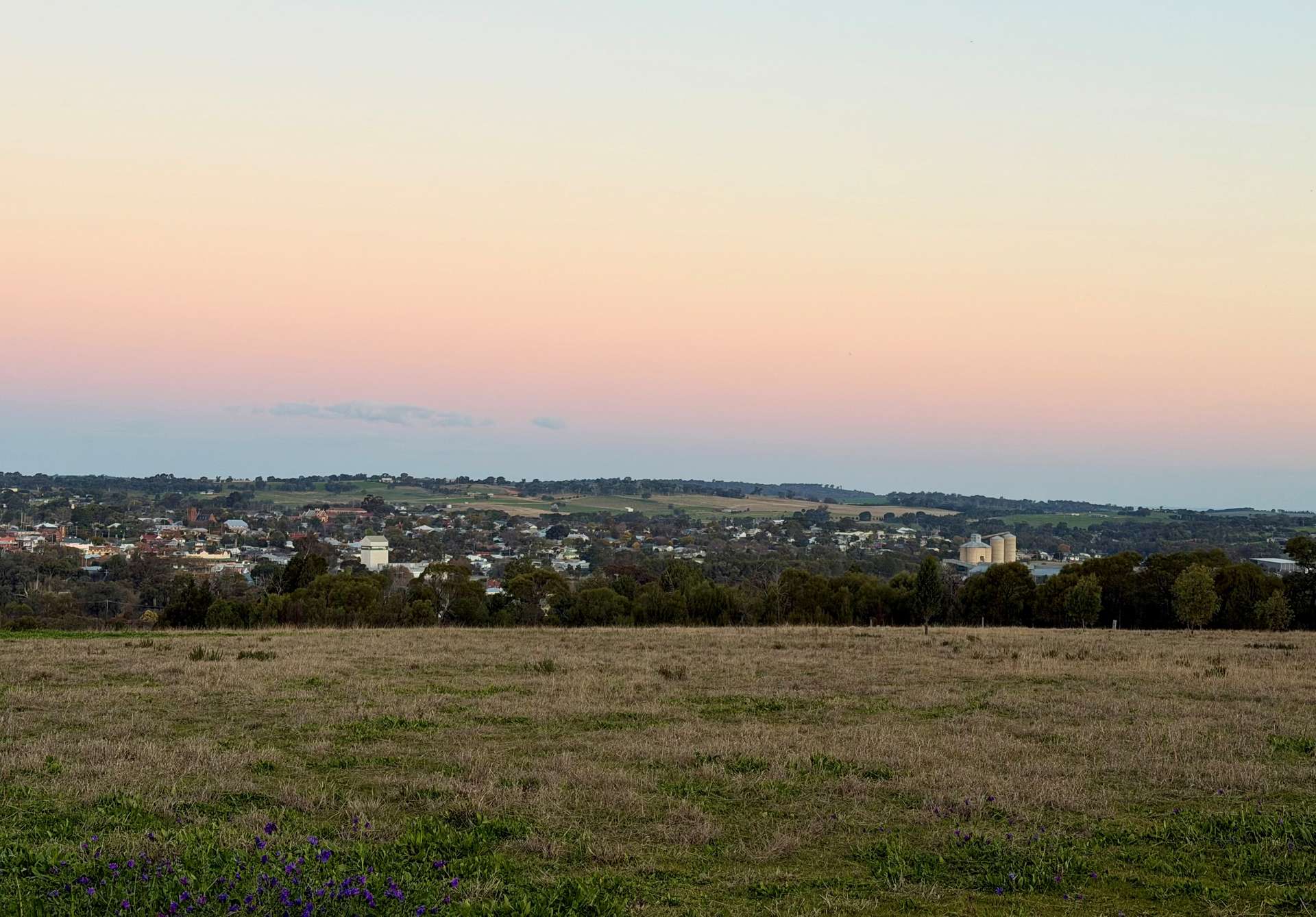 Lot 1243 Newton Street, Grenfell For Sale by Farmbuy.com - image 9
