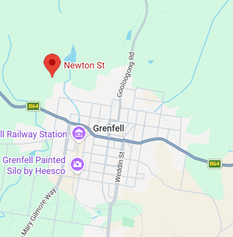 Lot 1243 Newton Street, Grenfell For Sale by Farmbuy.com - image 12