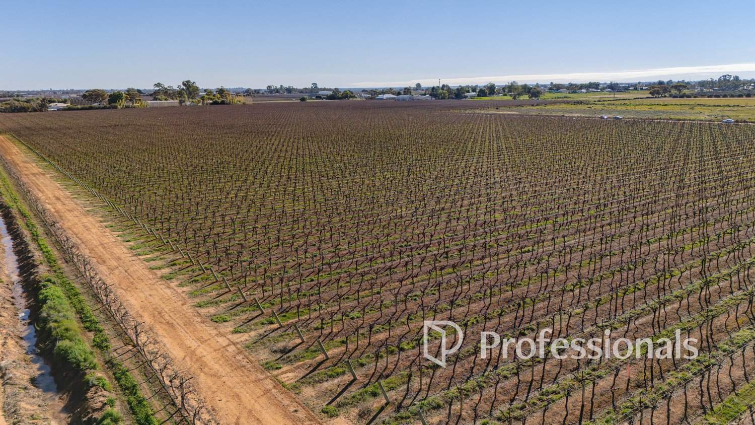 Lot 2 San Mateo Ave & Lot 3 Deakin Avenue, Mildura For Sale by Farmbuy.com - image 10