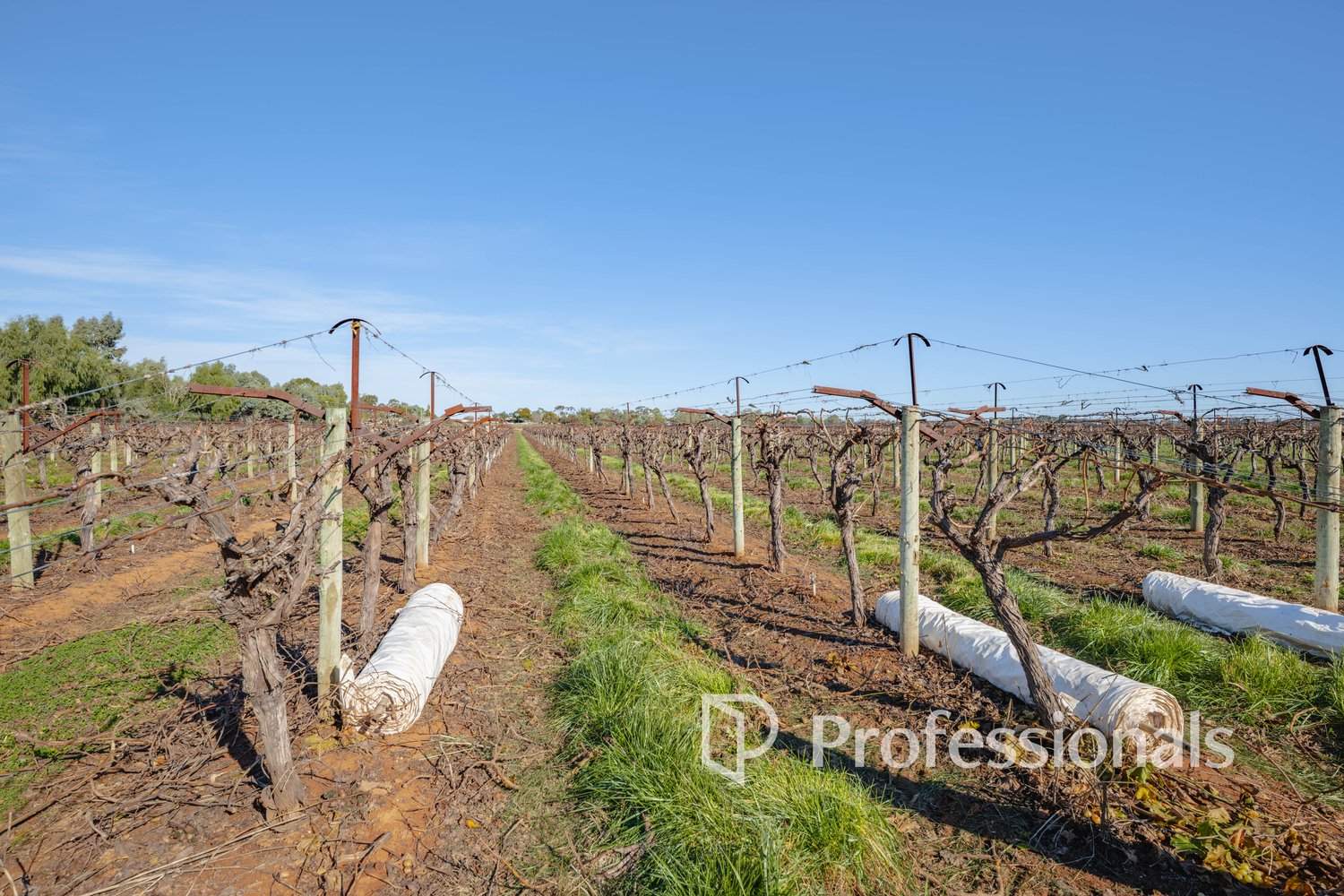 Lot 2 San Mateo Ave & Lot 3 Deakin Avenue, Mildura For Sale by Farmbuy.com - image 9