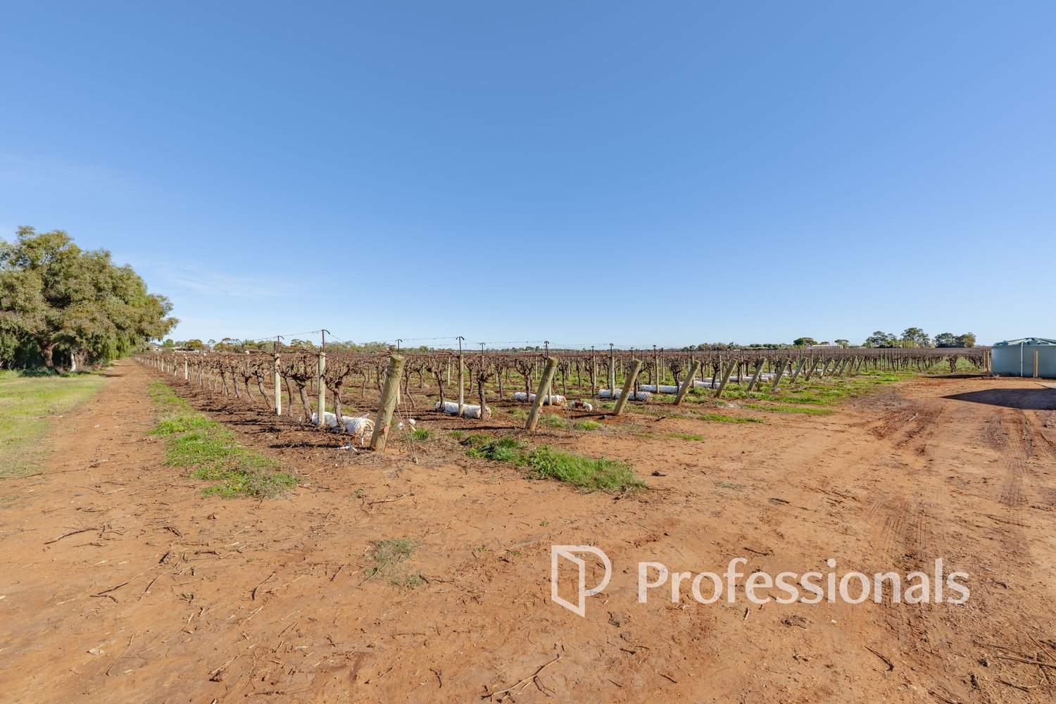 Lot 2 San Mateo Ave & Lot 3 Deakin Avenue, Mildura For Sale by Farmbuy.com - image 4