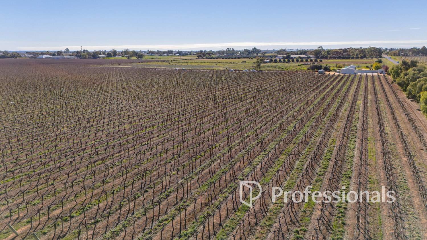 Lot 2 San Mateo Ave & Lot 3 Deakin Avenue, Mildura For Sale by Farmbuy.com - image 11