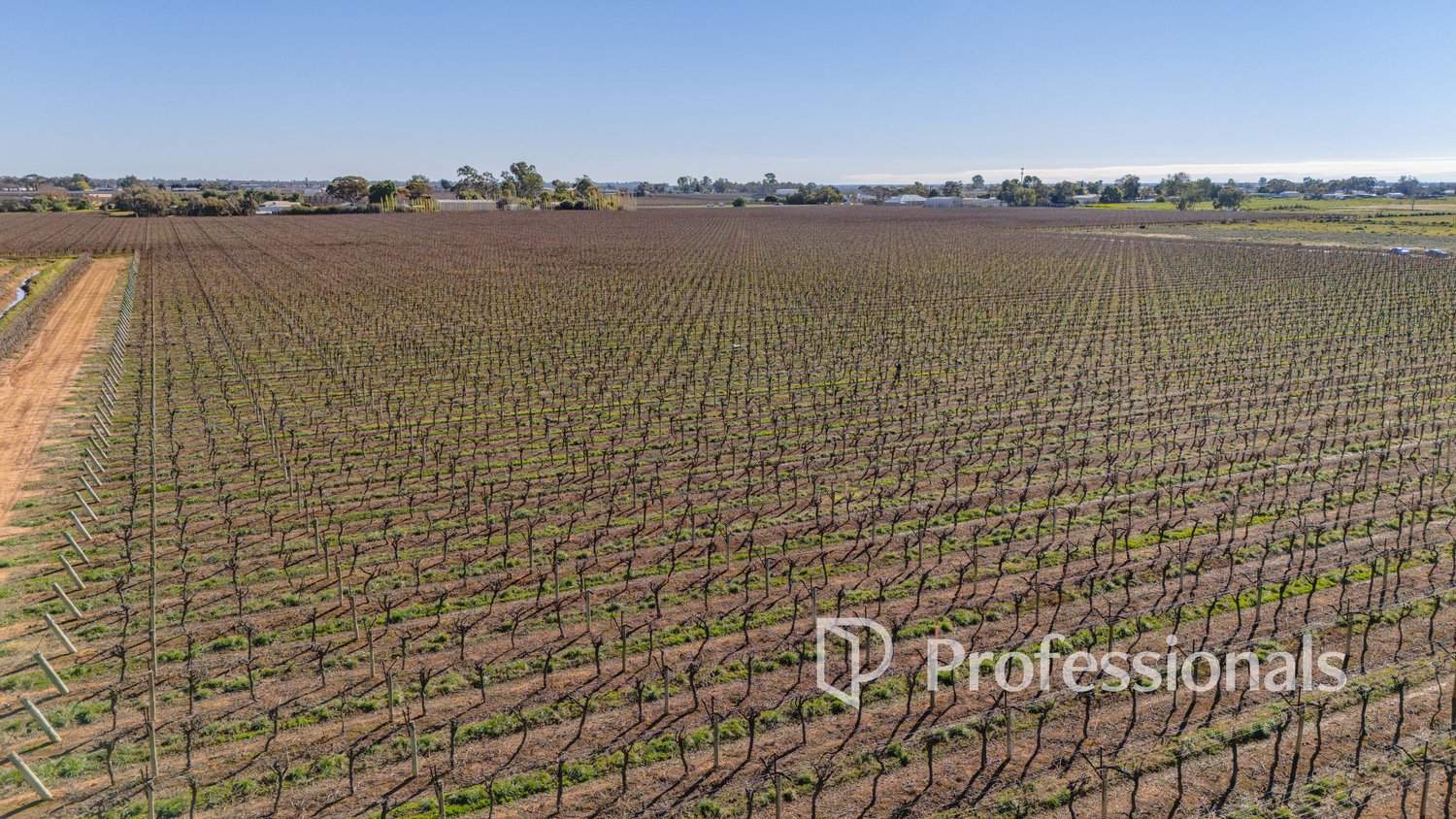 Lot 2 San Mateo Ave & Lot 3 Deakin Avenue, Mildura For Sale by Farmbuy.com - image 12