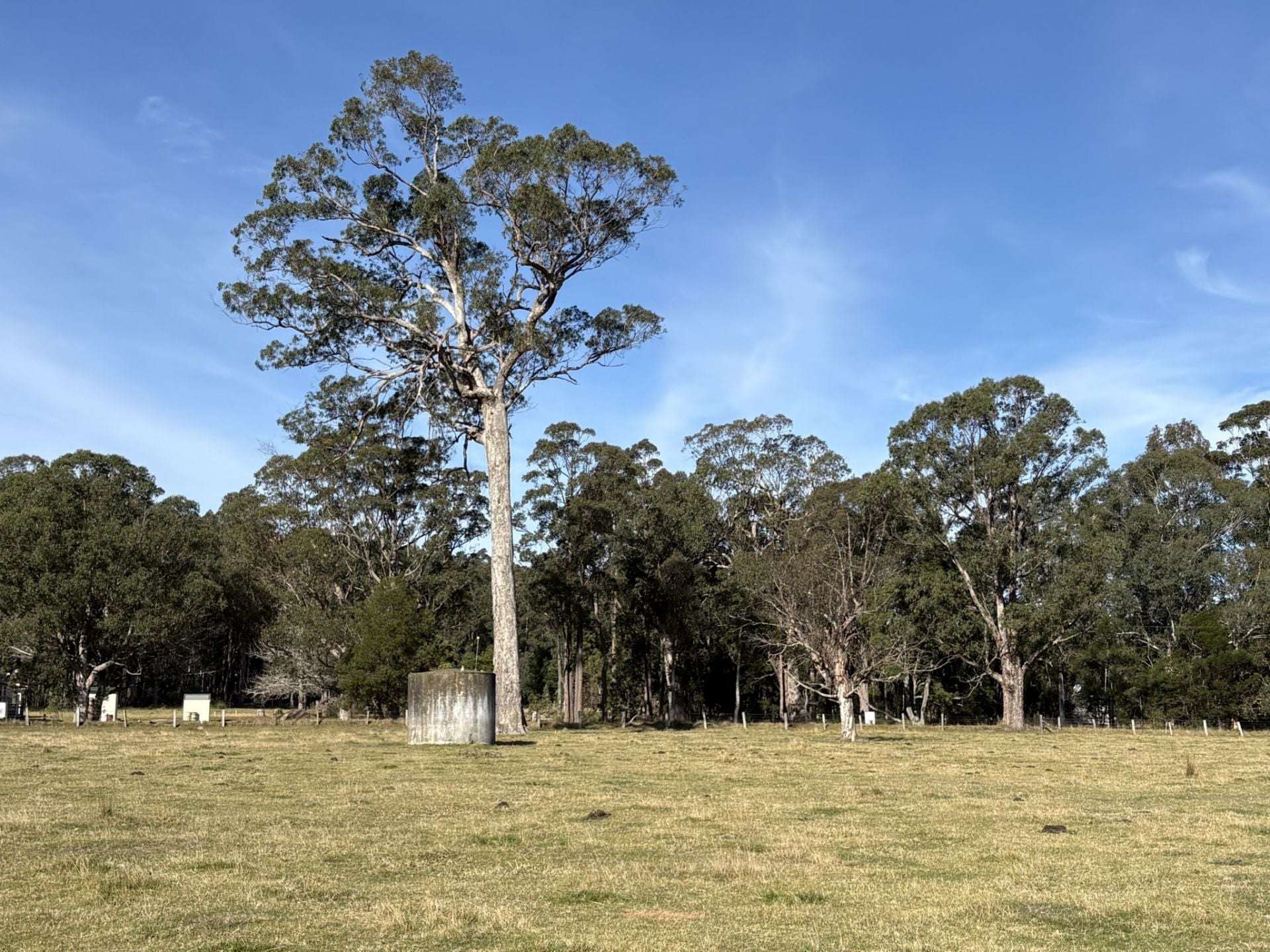 3259 Combienbar Road, Combienbar For Sale by Farmbuy.com - image 18