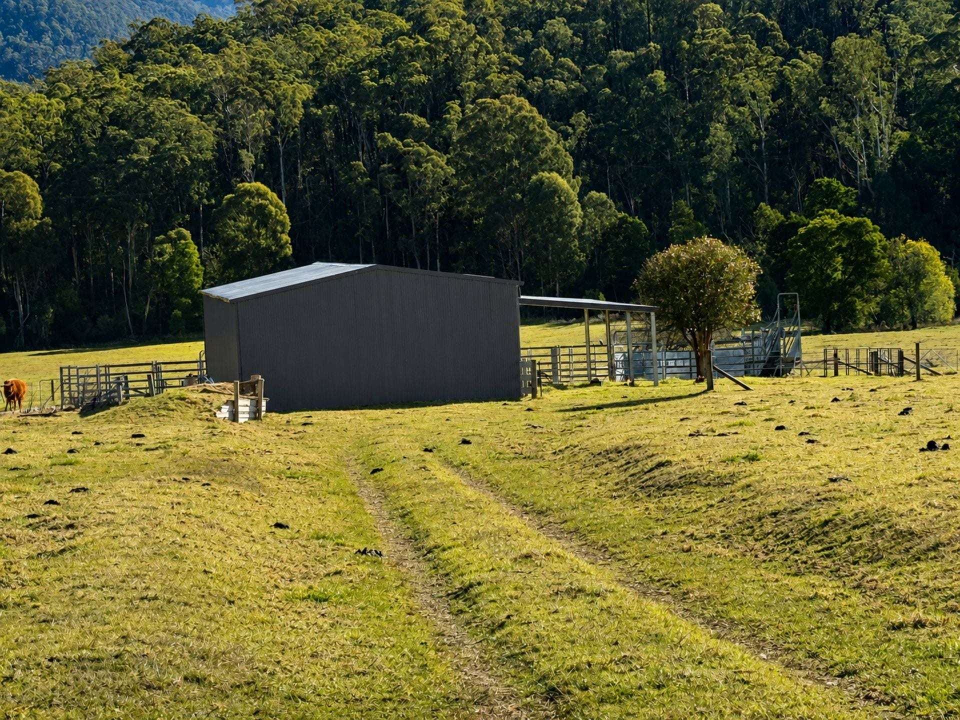 3259 Combienbar Road, Combienbar For Sale by Farmbuy.com - image 9