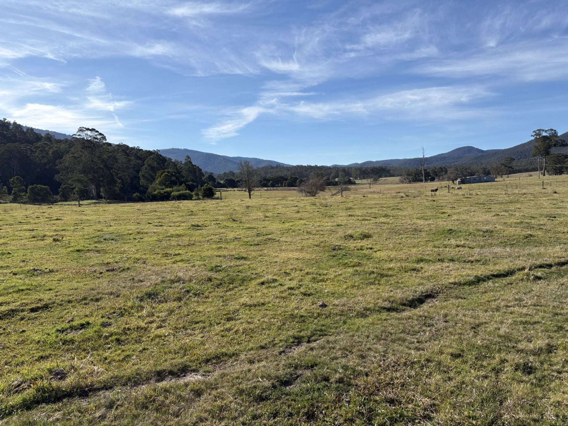 3259 Combienbar Road, Combienbar For Sale by Farmbuy.com - image 27