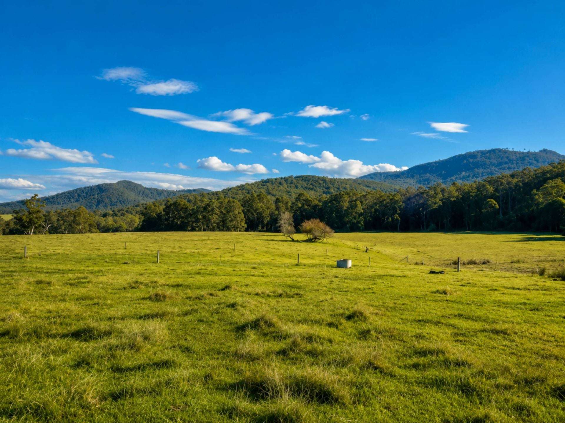 3259 Combienbar Road, Combienbar For Sale by Farmbuy.com - image 3