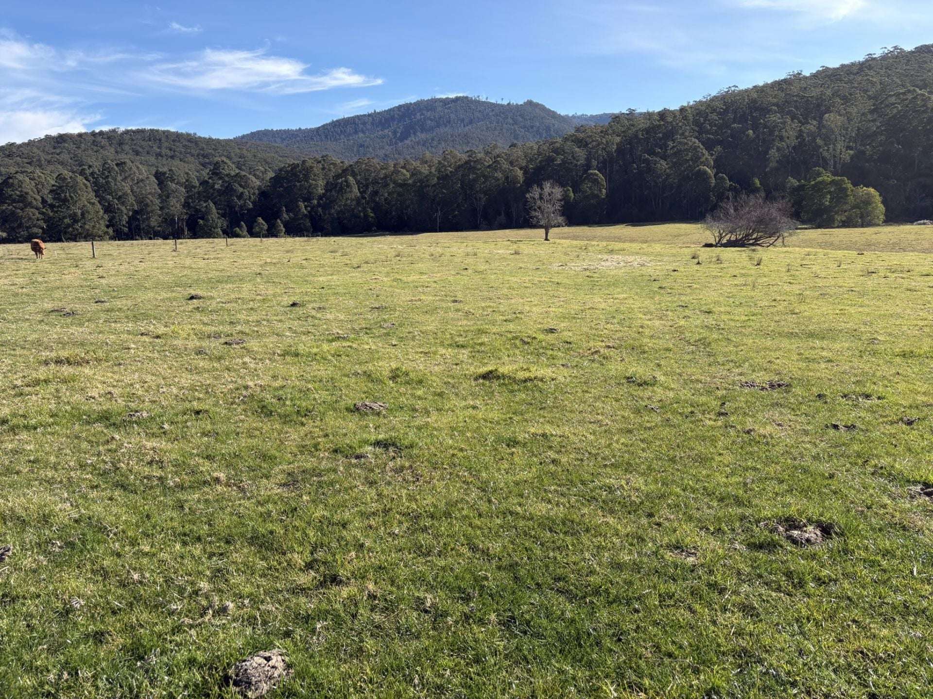 3259 Combienbar Road, Combienbar For Sale by Farmbuy.com - image 28