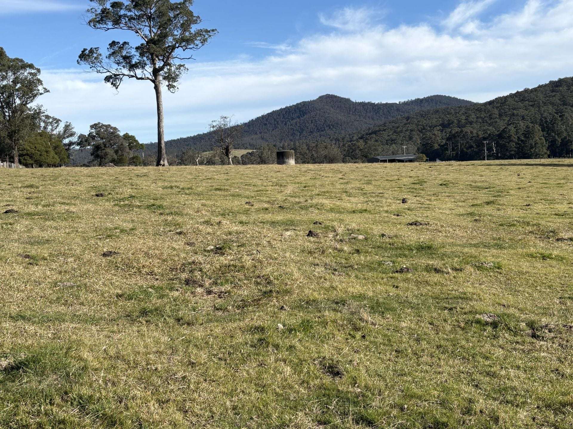 3259 Combienbar Road, Combienbar For Sale by Farmbuy.com - image 26