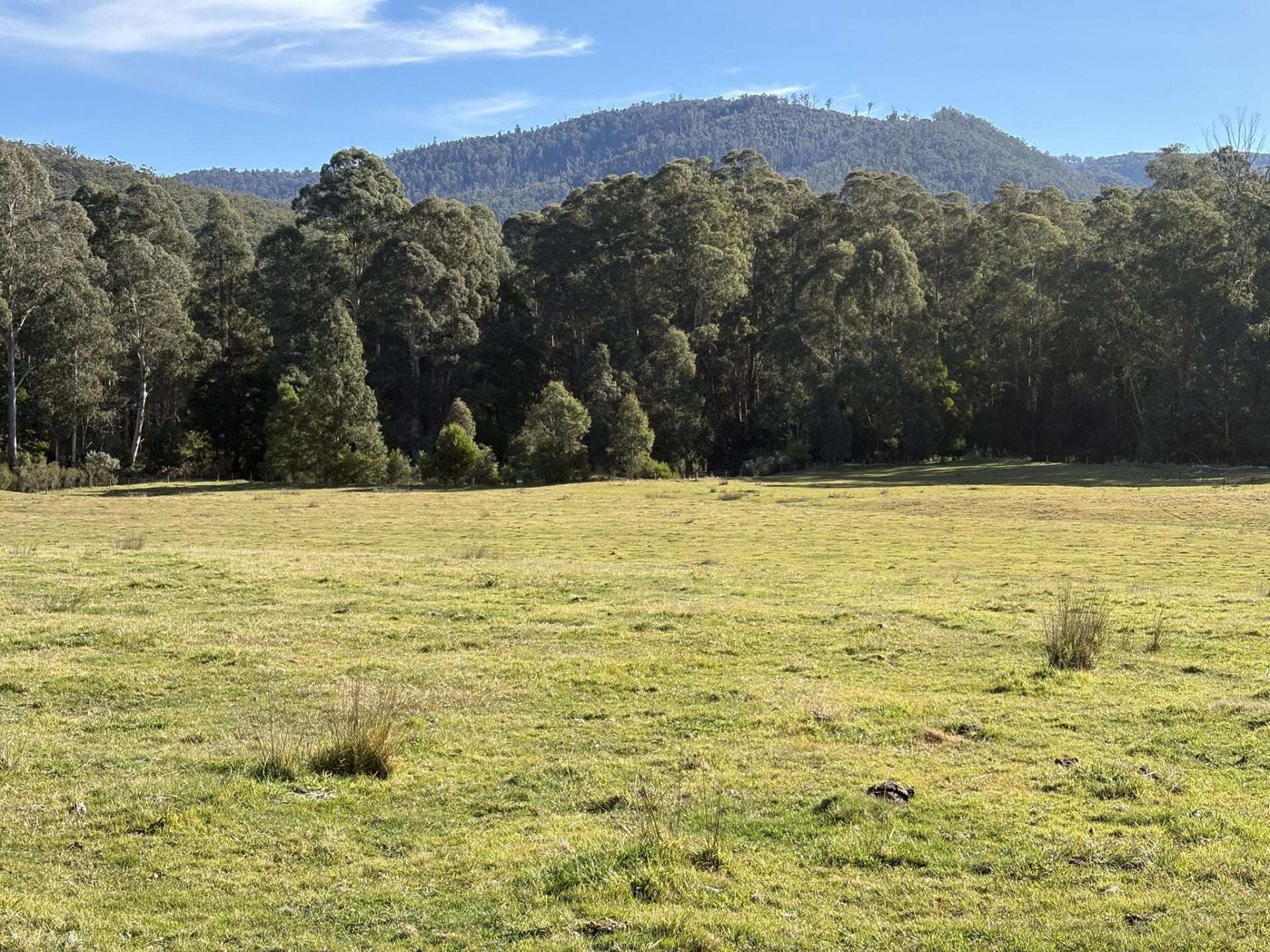 3259 Combienbar Road, Combienbar For Sale by Farmbuy.com - image 25