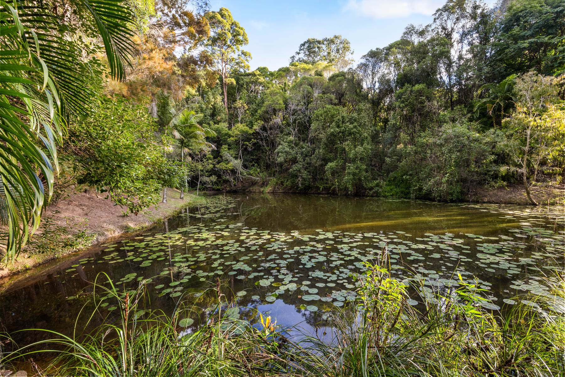 31 Northmount Road, Federal For Sale by Farmbuy.com - image 27