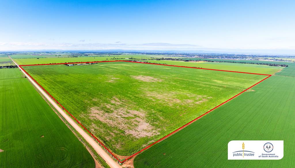 1330 Mallala Road, Korunye SA 5502