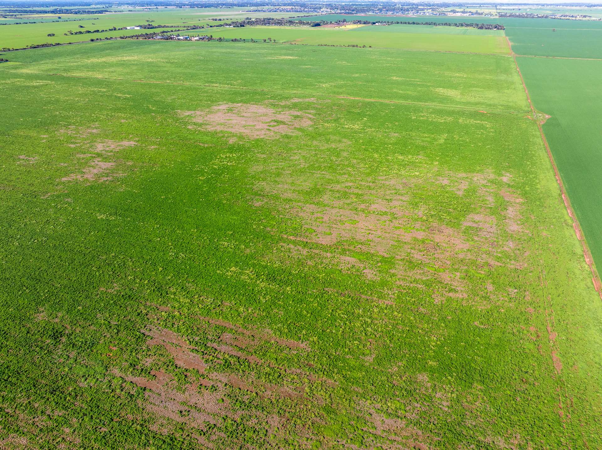 1330 Mallala Road, Korunye For Sale by Farmbuy.com - image 17