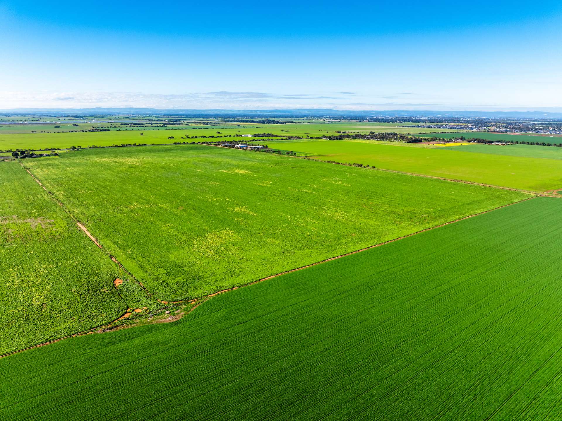 1330 Mallala Road, Korunye For Sale by Farmbuy.com - image 19