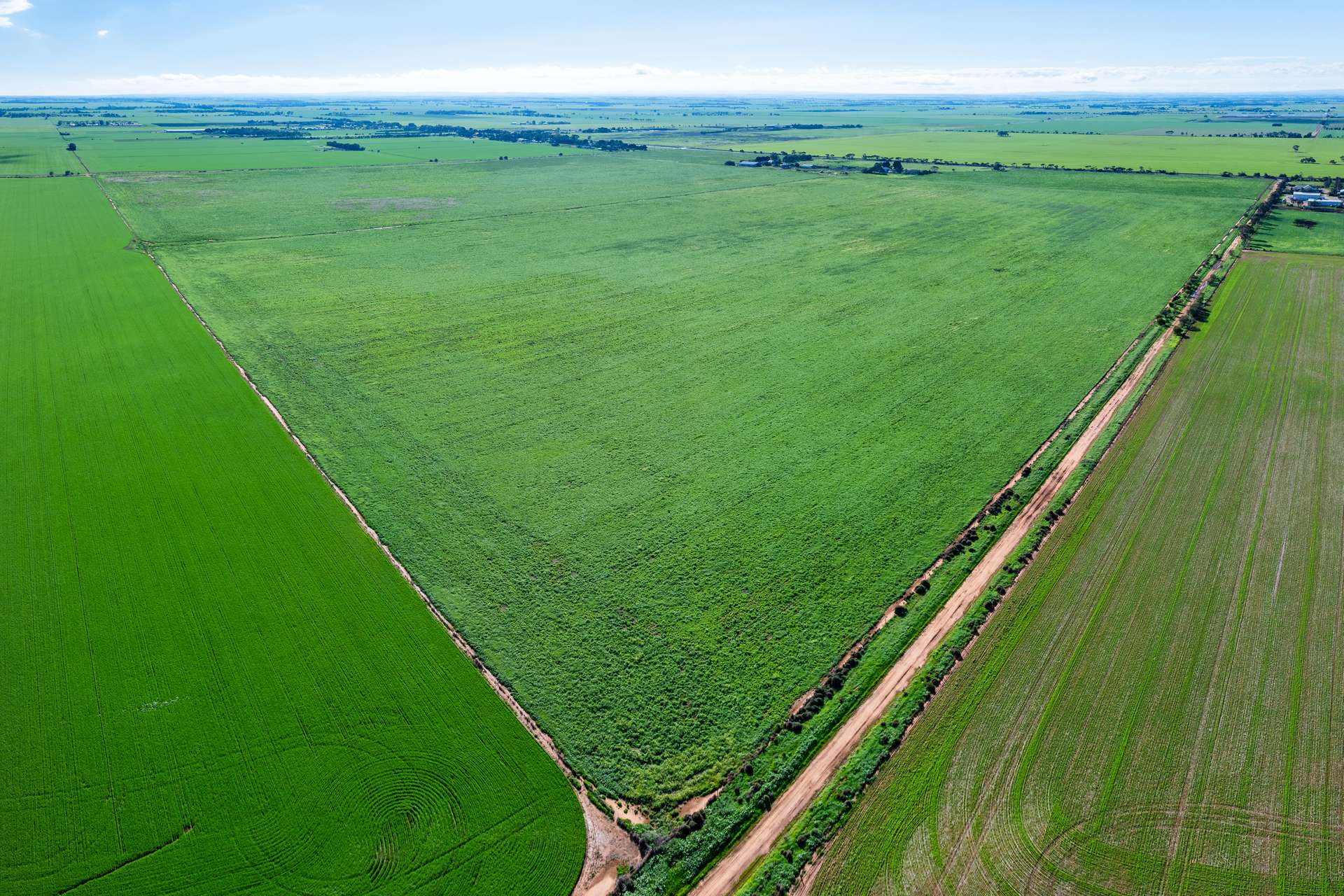 1330 Mallala Road, Korunye For Sale by Farmbuy.com - image 4