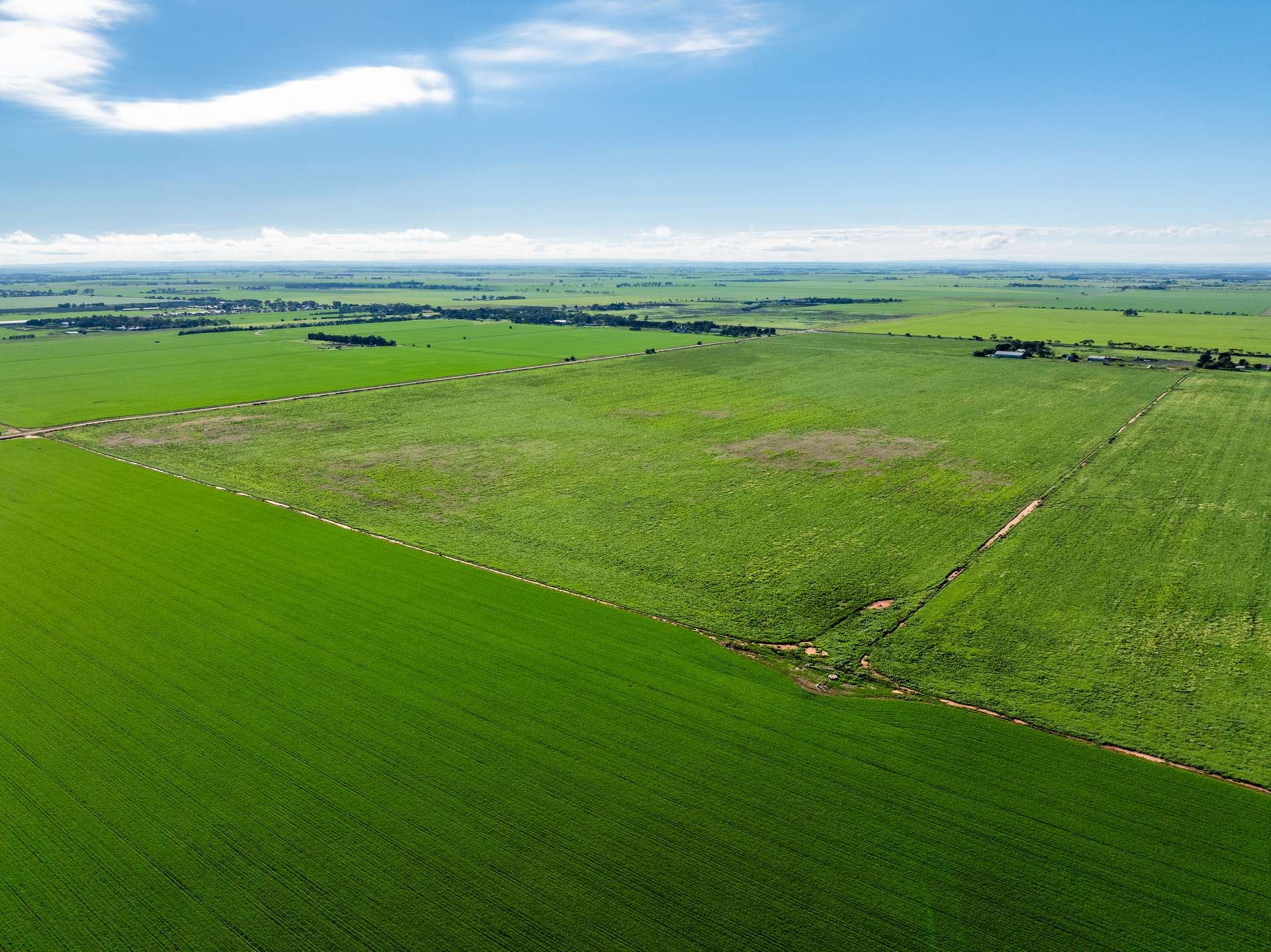 1330 Mallala Road, Korunye For Sale by Farmbuy.com - image 13