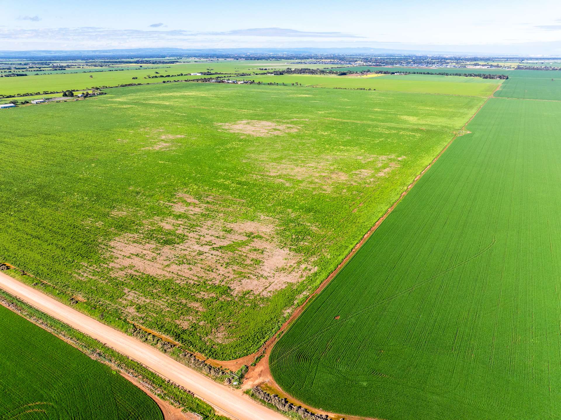 1330 Mallala Road, Korunye For Sale by Farmbuy.com - image 23