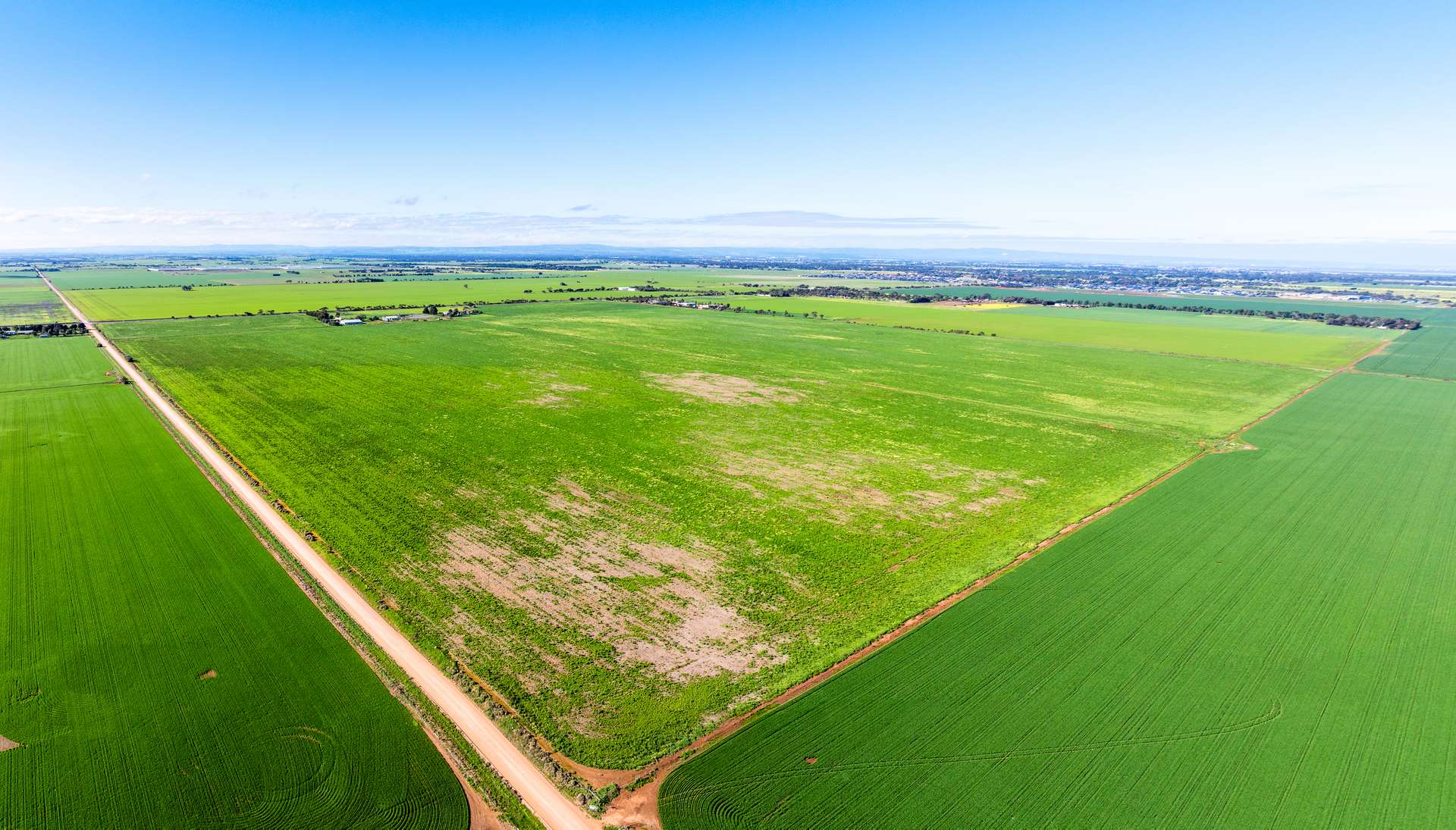 1330 Mallala Road, Korunye For Sale by Farmbuy.com - image 9