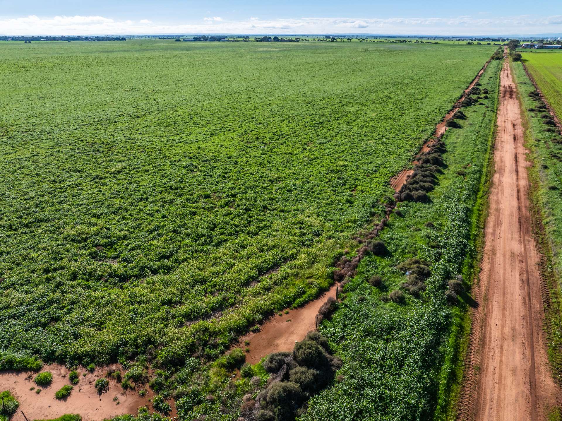 1330 Mallala Road, Korunye For Sale by Farmbuy.com - image 12