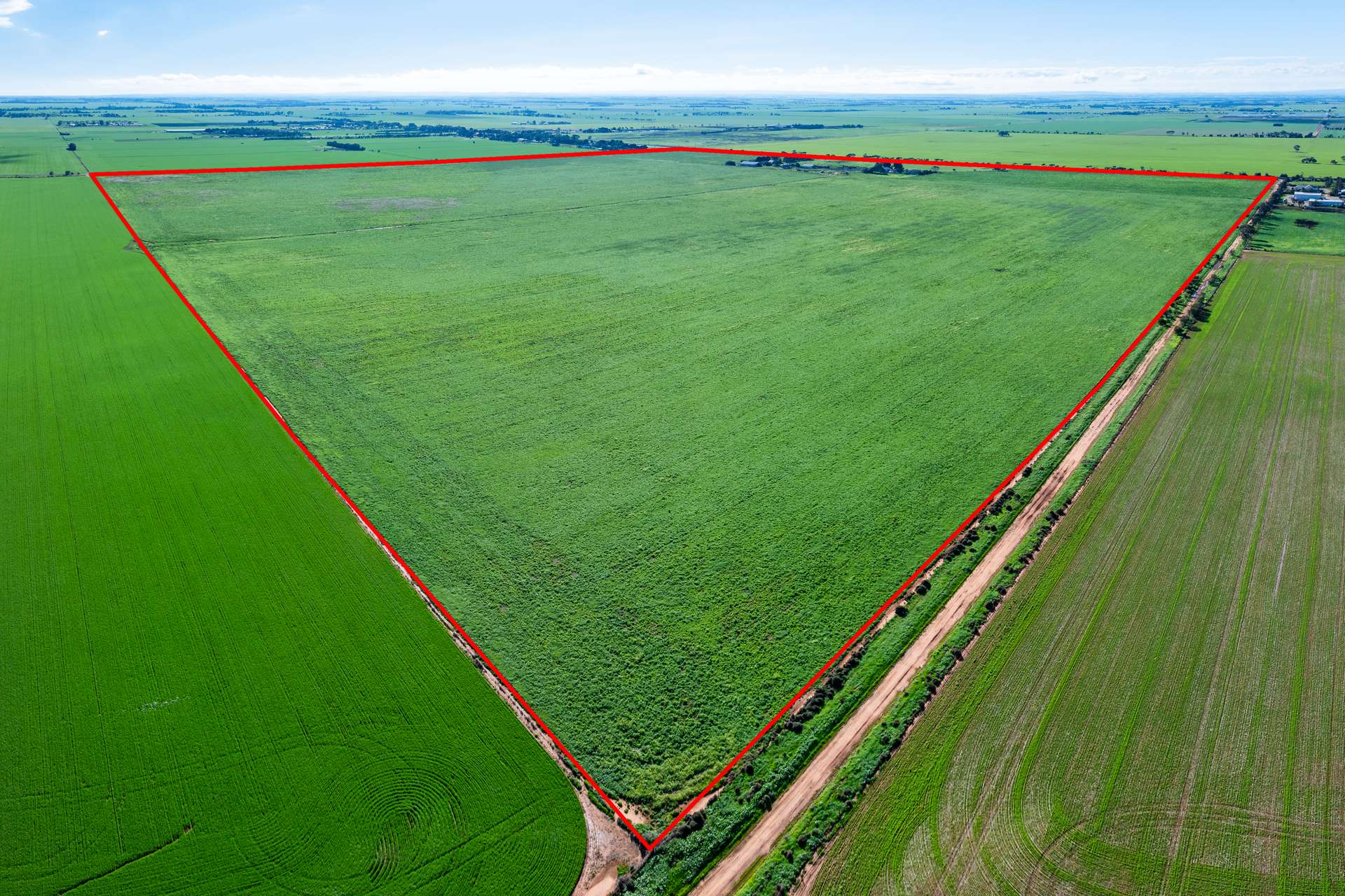 1330 Mallala Road, Korunye For Sale by Farmbuy.com - image 2