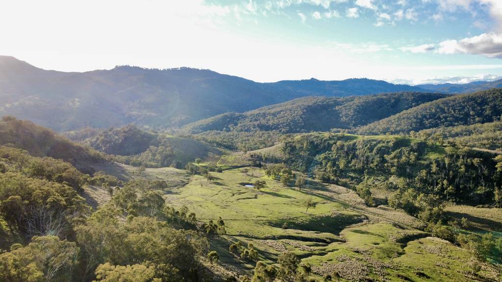 "Bindallah Sth" Warlands Creek Road, Blandford NSW 2338