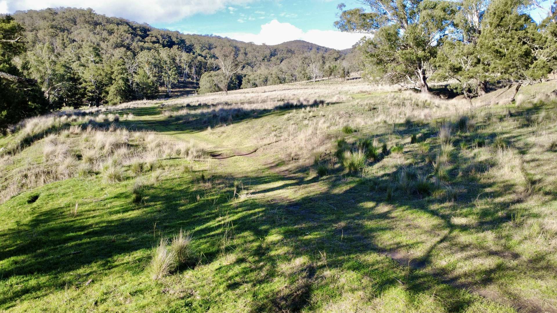 "Bindallah Sth" Warlands Creek Road, Blandford For Sale by Farmbuy.com - image 3