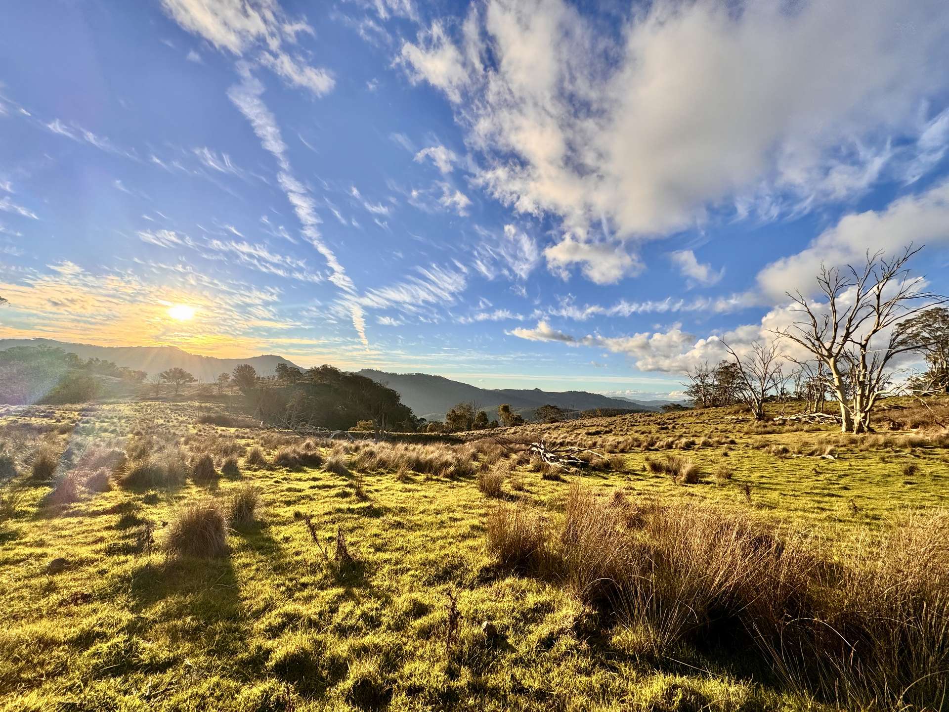 "Bindallah Sth" Warlands Creek Road, Blandford For Sale by Farmbuy.com - image 12