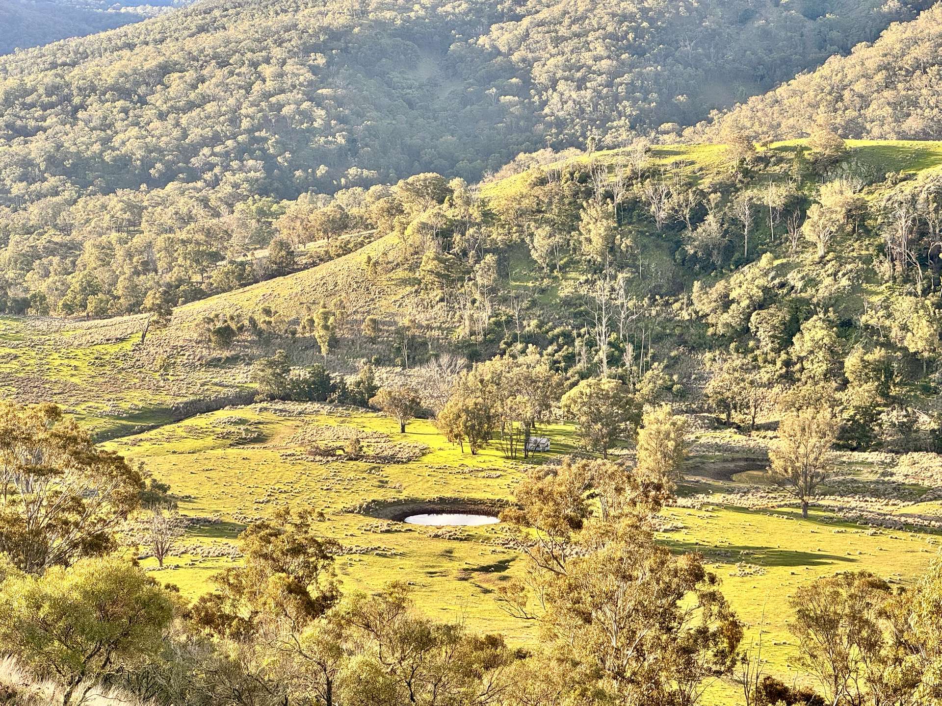 "Bindallah Sth" Warlands Creek Road, Blandford For Sale by Farmbuy.com - image 2