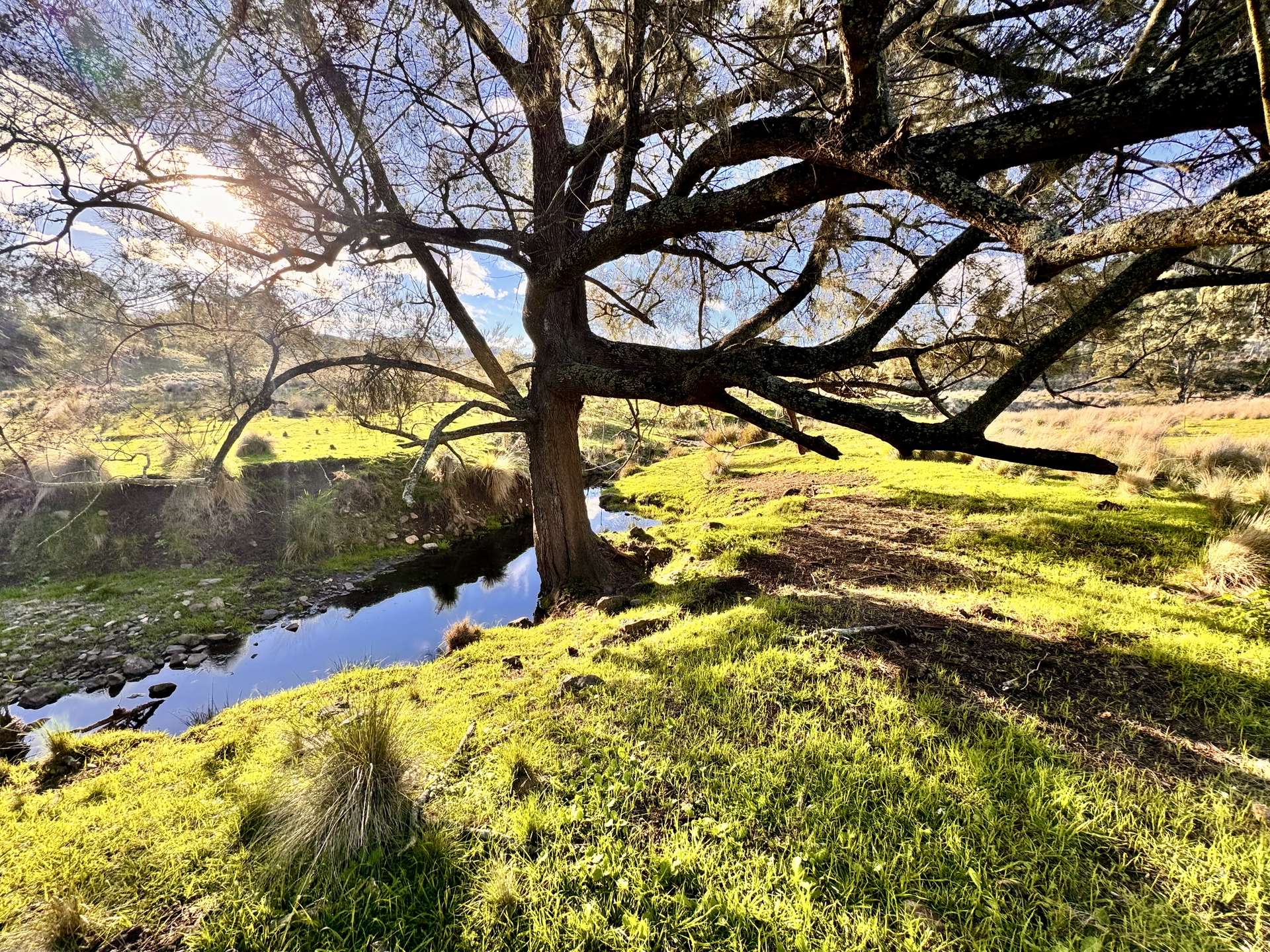 "Bindallah Sth" Warlands Creek Road, Blandford For Sale by Farmbuy.com - image 5