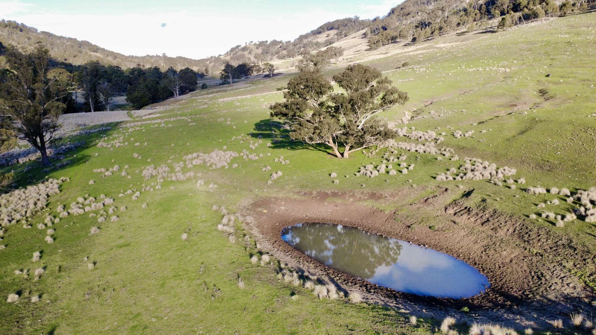 "Bindallah Sth" Warlands Creek Road, Blandford For Sale by Farmbuy.com - image 19
