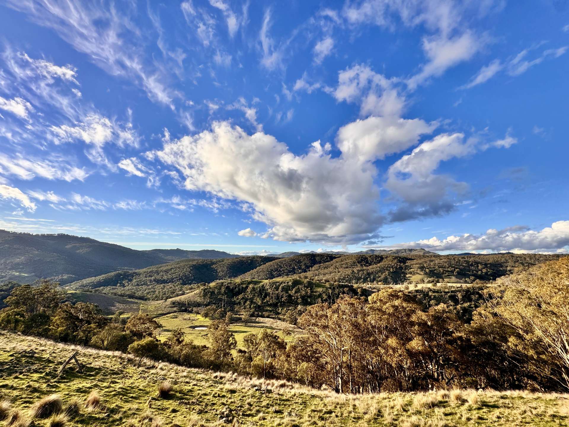 "Bindallah Sth" Warlands Creek Road, Blandford For Sale by Farmbuy.com - image 11