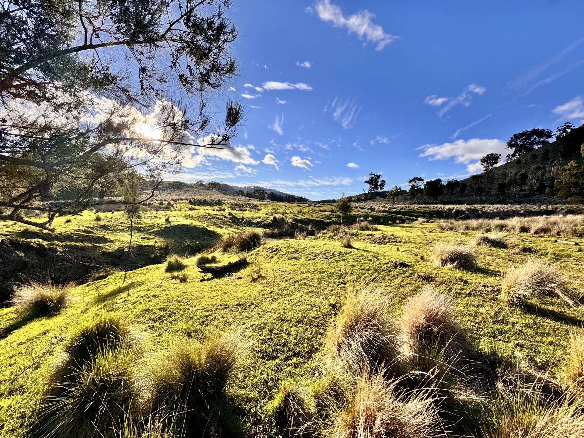 "Bindallah Sth" Warlands Creek Road, Blandford For Sale by Farmbuy.com - image 17