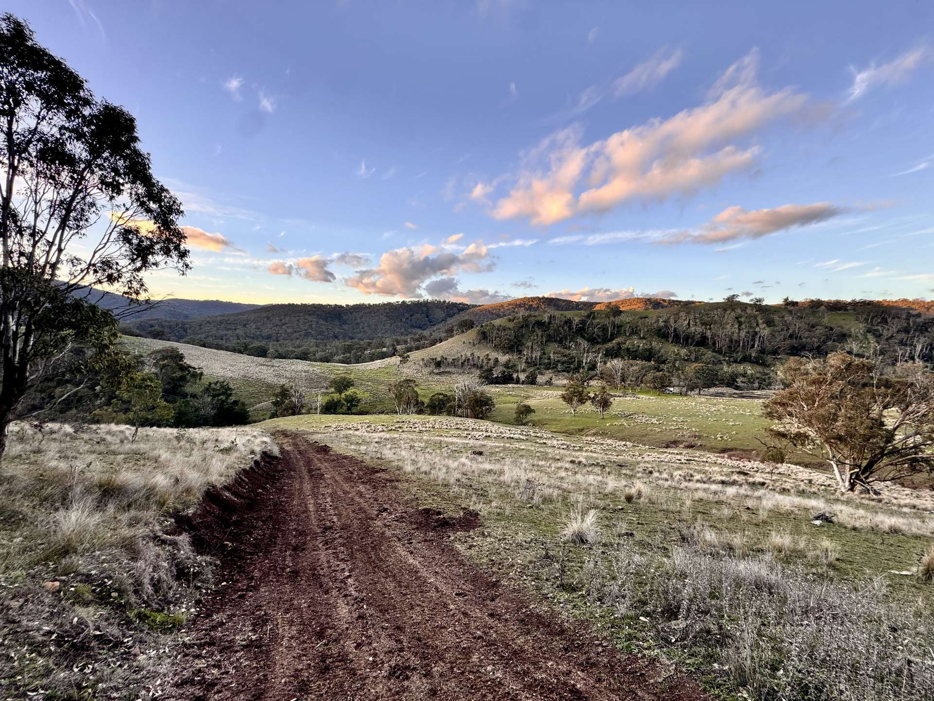 "Bindallah Sth" Warlands Creek Road, Blandford For Sale by Farmbuy.com - image 13