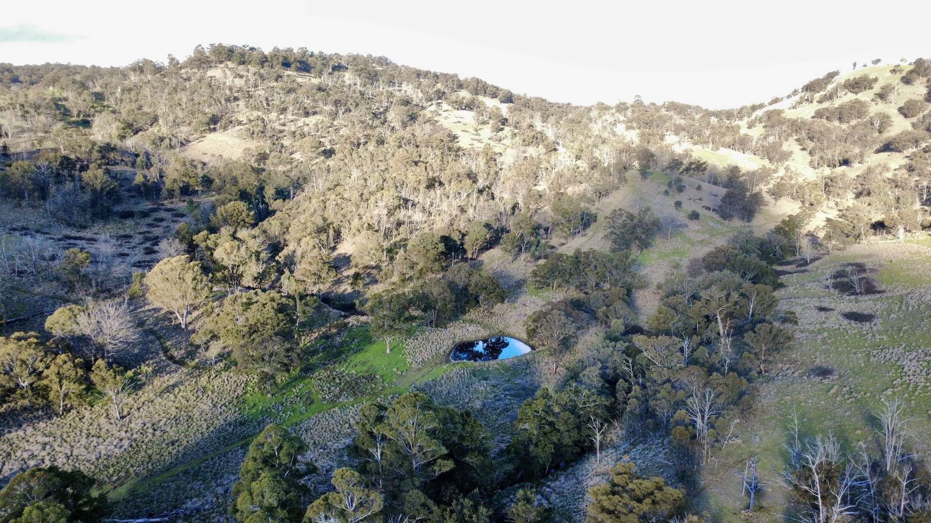 "Bindallah Sth" Warlands Creek Road, Blandford For Sale by Farmbuy.com - image 18