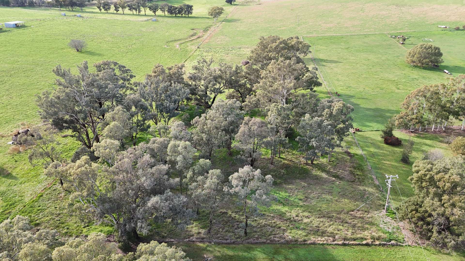 Lot 600,  Henry Lawson Way, Grenfell For Sale by Farmbuy.com - image 2