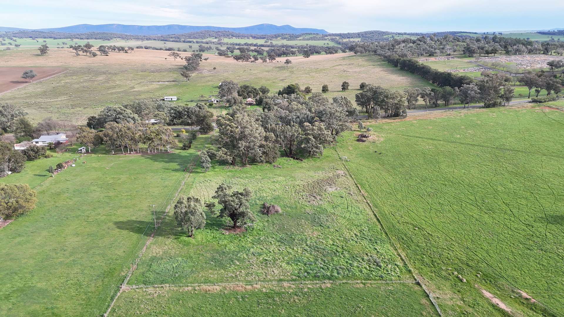 Lot 600,  Henry Lawson Way, Grenfell For Sale by Farmbuy.com - image 1