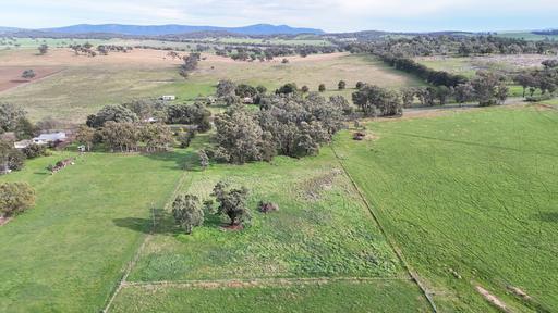 Farm For Sale - NSW - Grenfell - 2810 - 4.176 ACRE LIFESTYLE GET-AWAY. FULLY FENCED & SEALED ROAD FRONTAGE! 