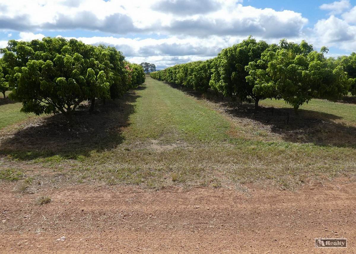 Mutchilba For Sale by Farmbuy.com - image 8