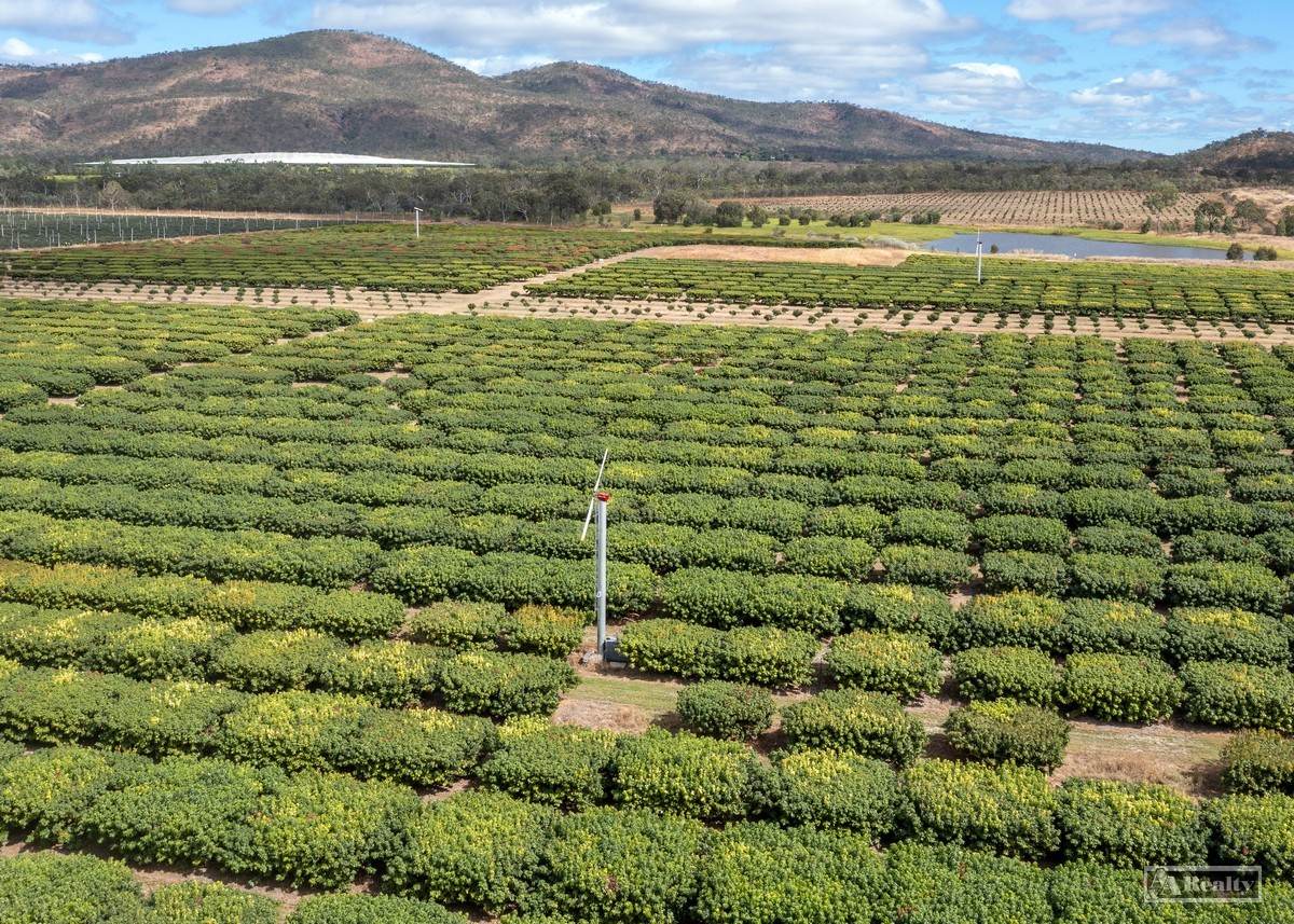 Mutchilba For Sale by Farmbuy.com - image 2