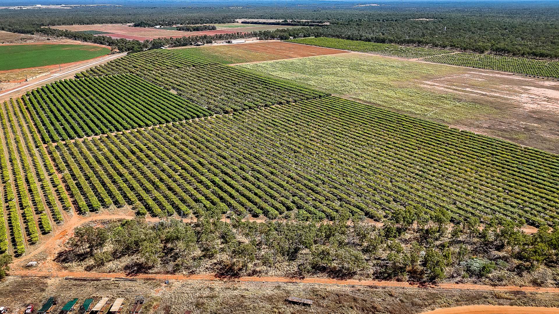 0 Foxalicious Farm, Katherine For Sale by Farmbuy.com - image 7