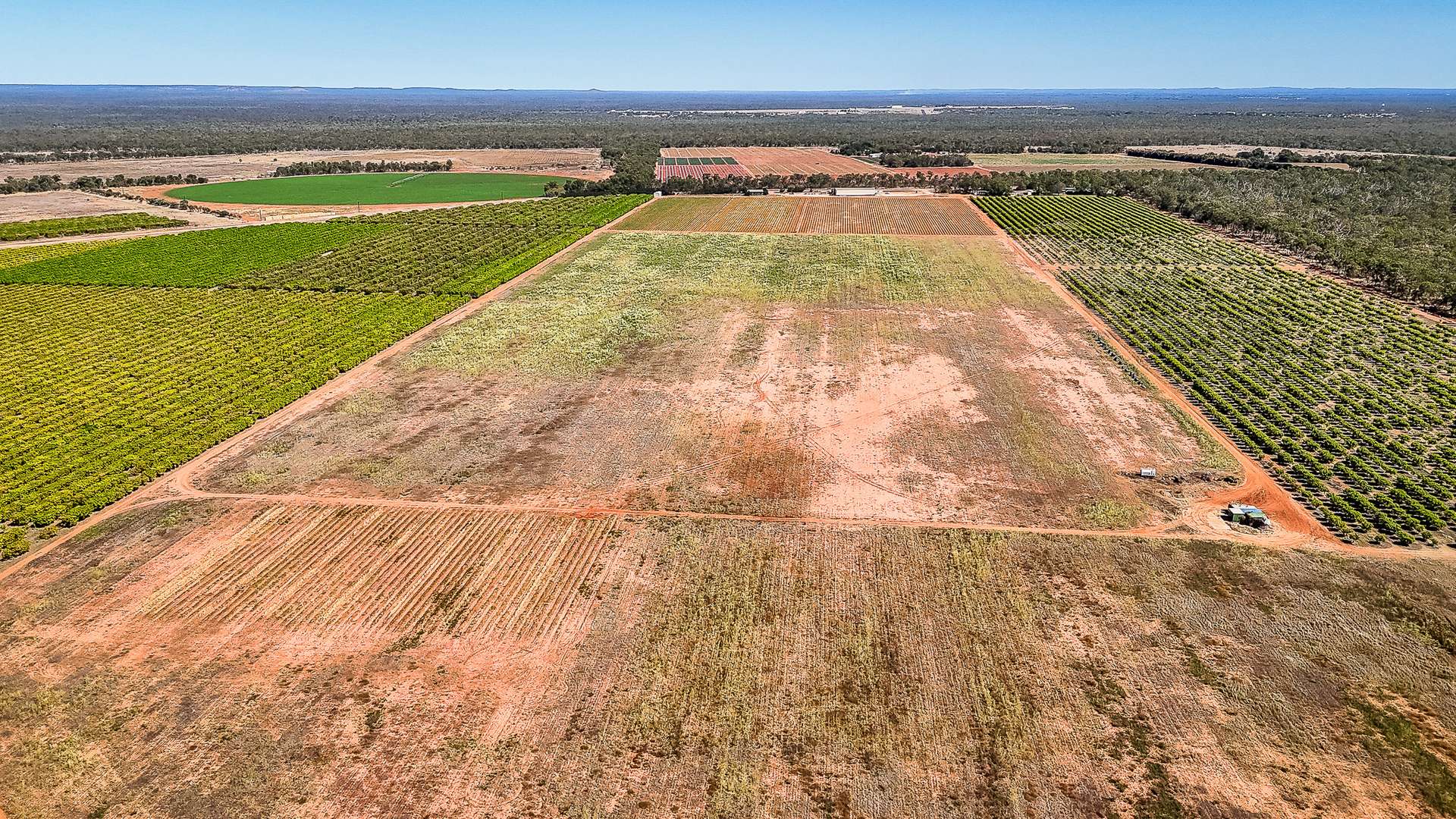 0 Foxalicious Farm, Katherine For Sale by Farmbuy.com - image 8