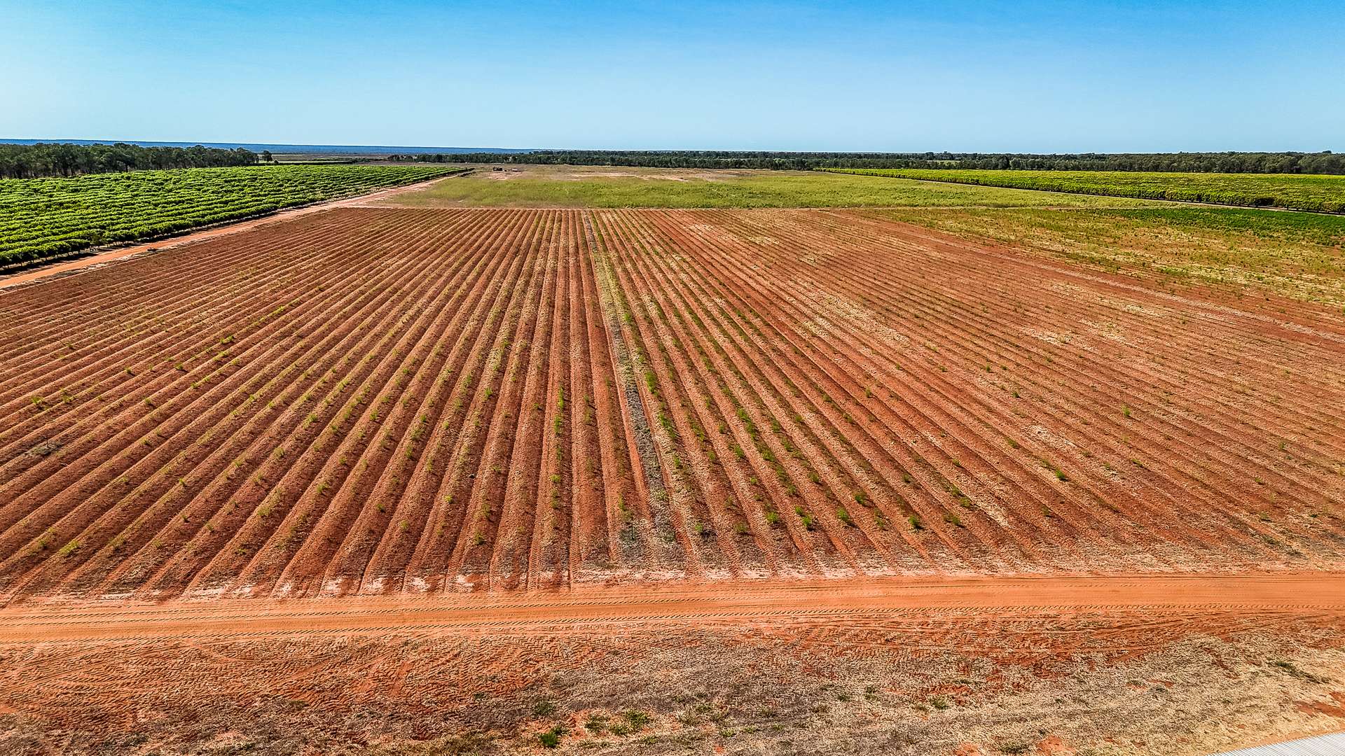 0 Foxalicious Farm, Katherine For Sale by Farmbuy.com - image 2