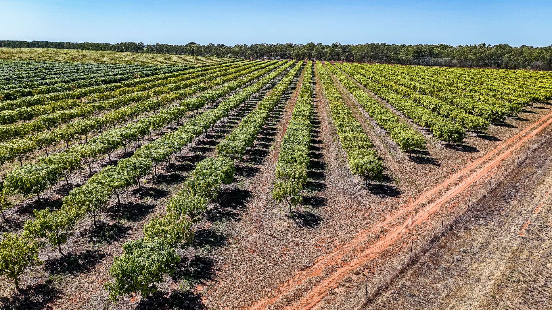0 Foxalicious Farm, Katherine For Sale by Farmbuy.com - image 3