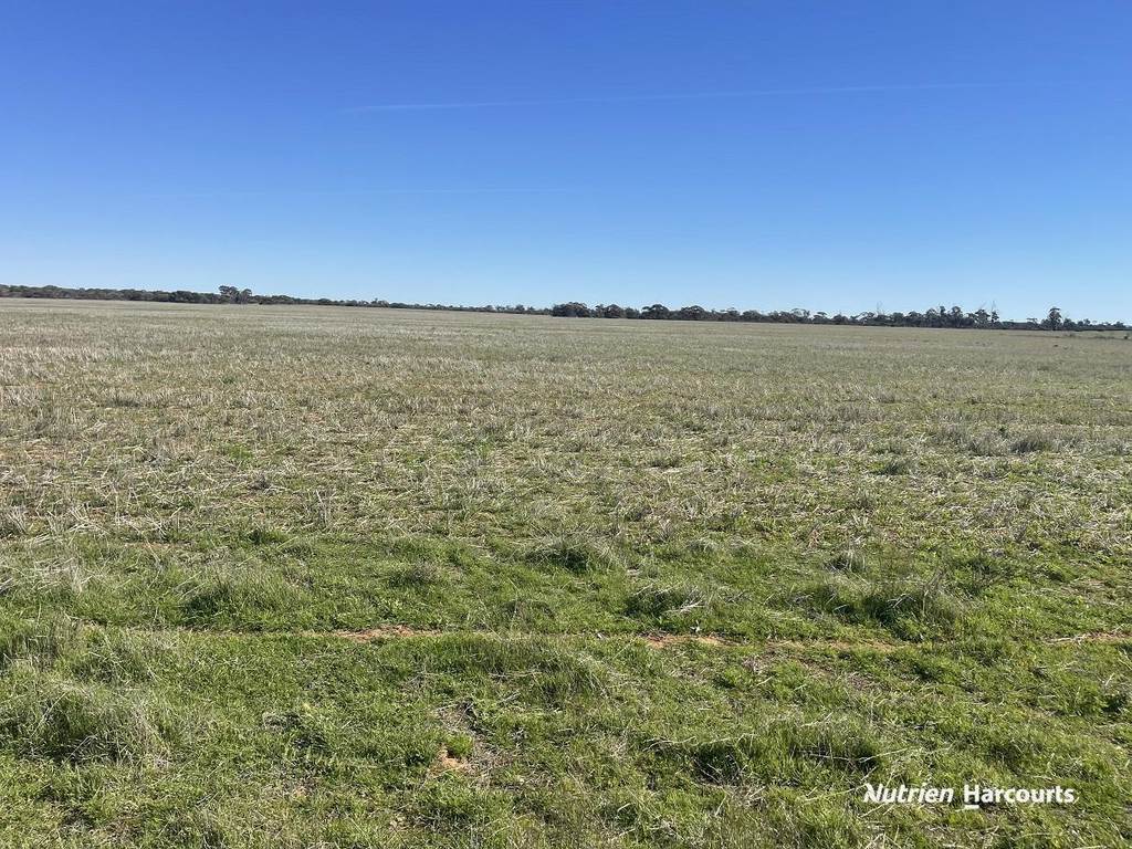 331 Red Dam Road, Cleary WA 6472