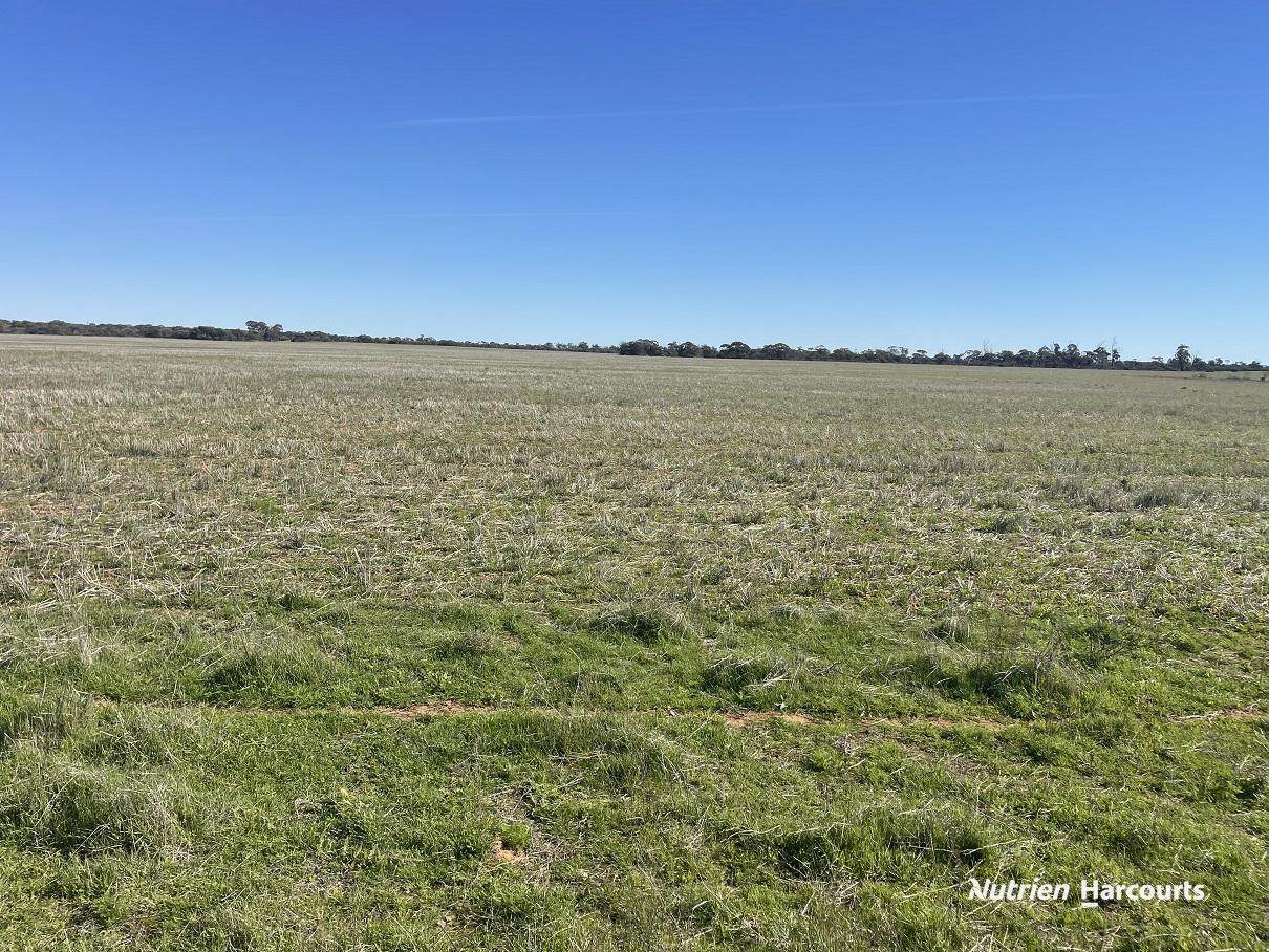 331 Red Dam Road, Cleary For Sale by Farmbuy.com - image 1