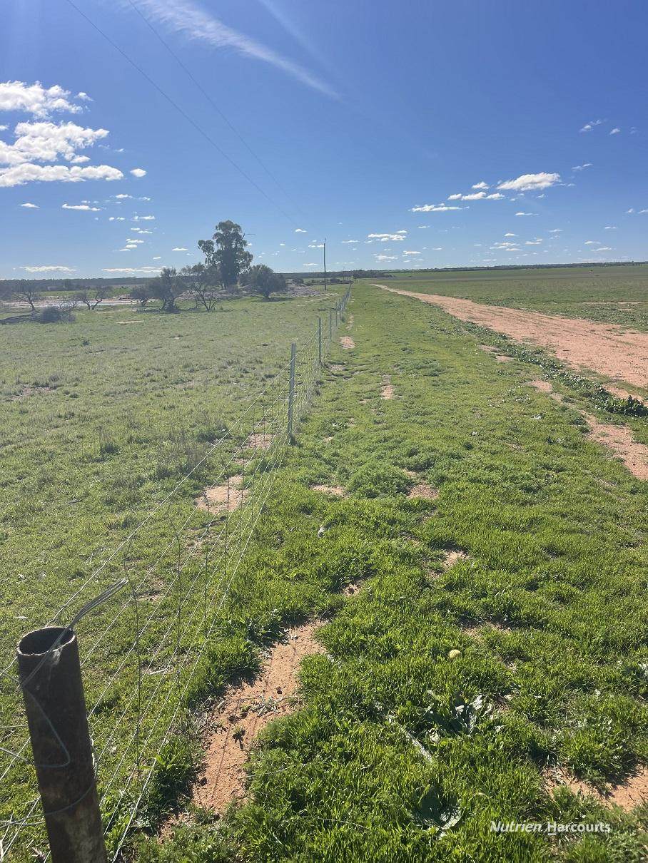 331 Red Dam Road, Cleary For Sale by Farmbuy.com - image 9