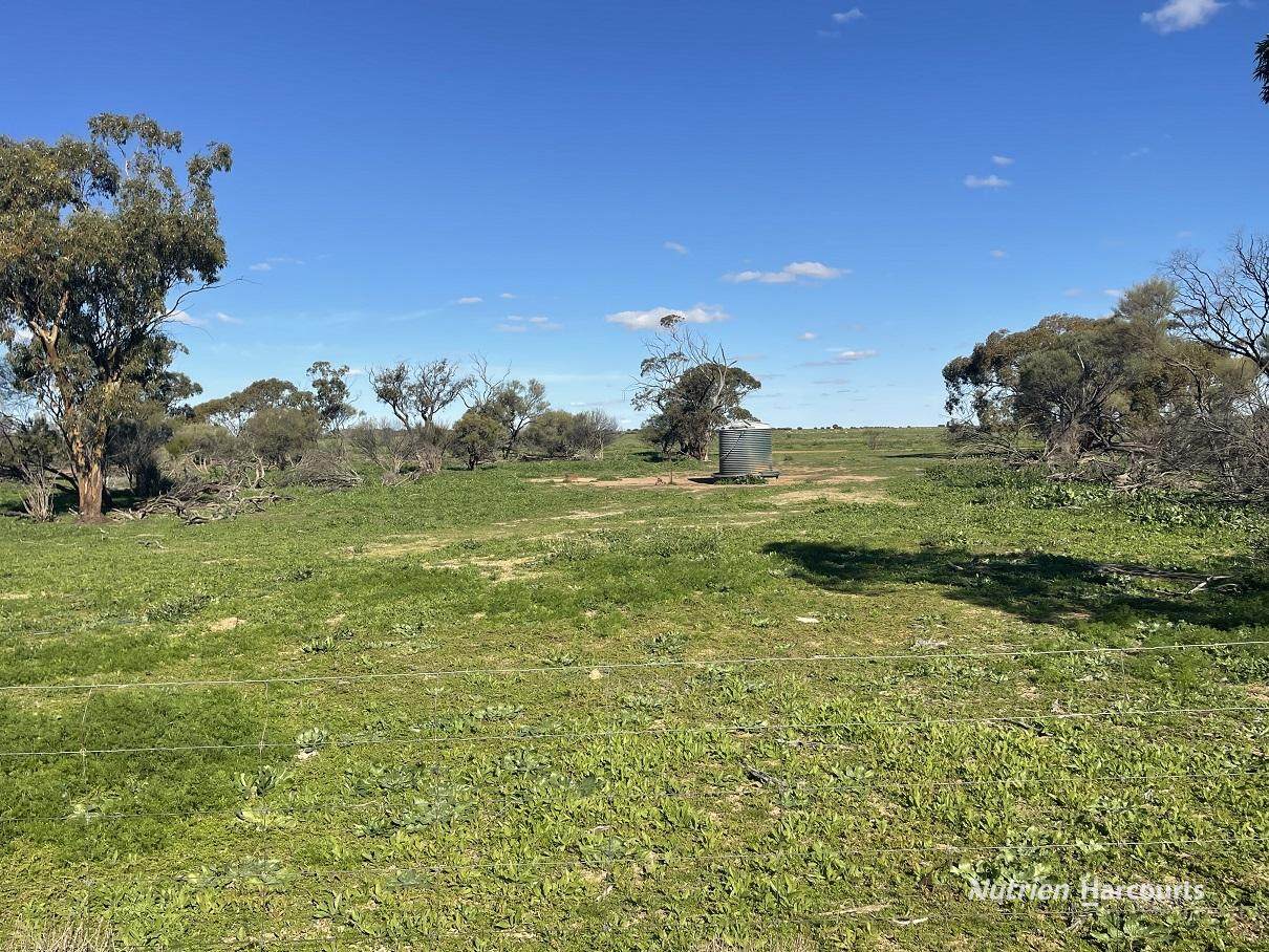 331 Red Dam Road, Cleary For Sale by Farmbuy.com - image 8